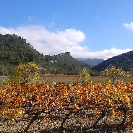 Au Paradis Cathare Fraissé-des-Corbières